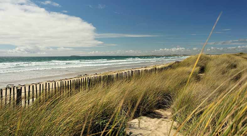 Canvas or Paper Print of the ocean and beach No.1