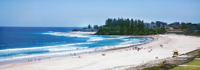 Canvas or Paper Print of Snapper Rocks, Coolangatta