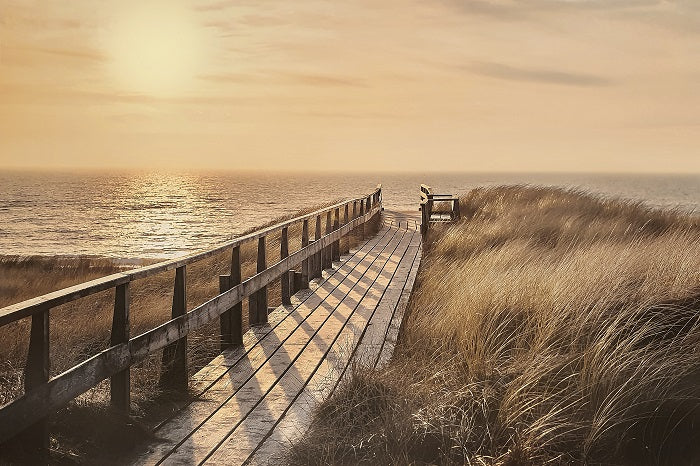 Canvas or Paper Print of Broad Walk to Beach No.2