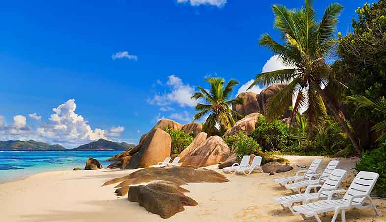 Canvas or Paper Print of palm tree on beach No.4
