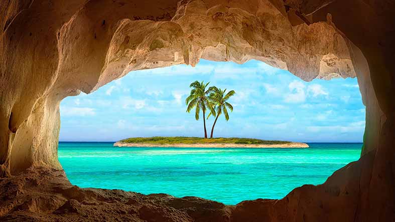 Paper Print of palm tree on beach No.5