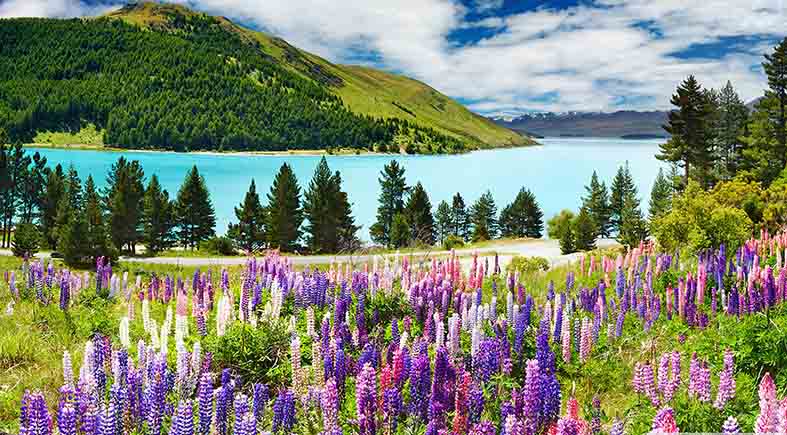 Canvas or Paper Print of LAKE FOREST BEACH ( Lake Tahoe)