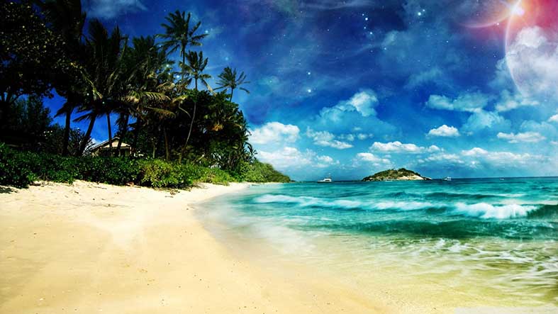 Paper Print of palm tree on beach No.8