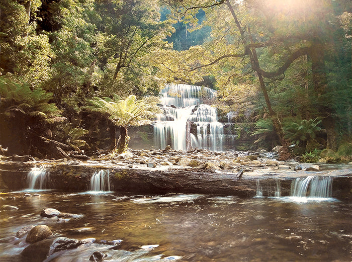 Canvas or Paper Print of waterfall no.13 (Tasmanian)