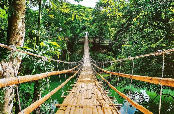 Long Rope Bridge Canvas Print