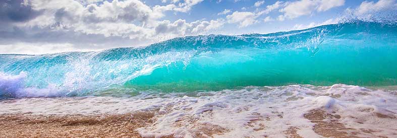 Canvas or Paper Print of ocean and beach No.17