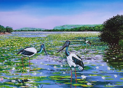 Framed Print of Jabirus in the Lake