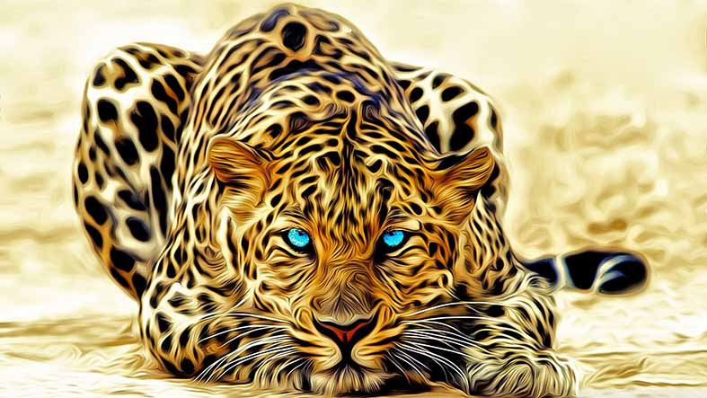 Canvas or Paper Print of Cat No.7