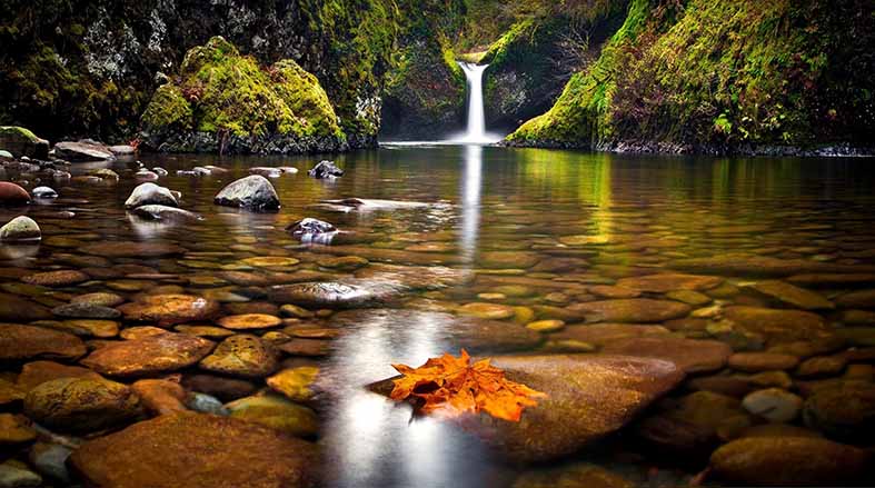 Canvas or Paper Print of waterfall No.01