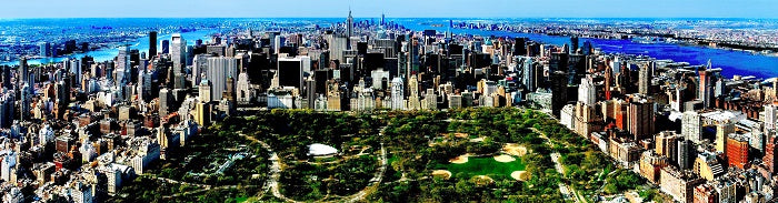 Canvas or Paper Print of New York Day