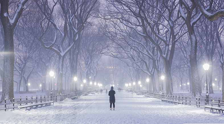 Canvas or Paper Print of Winter in Central Park, New York No.3