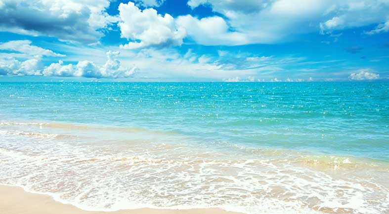 Canvas or Paper Print of ocean and beach No.12