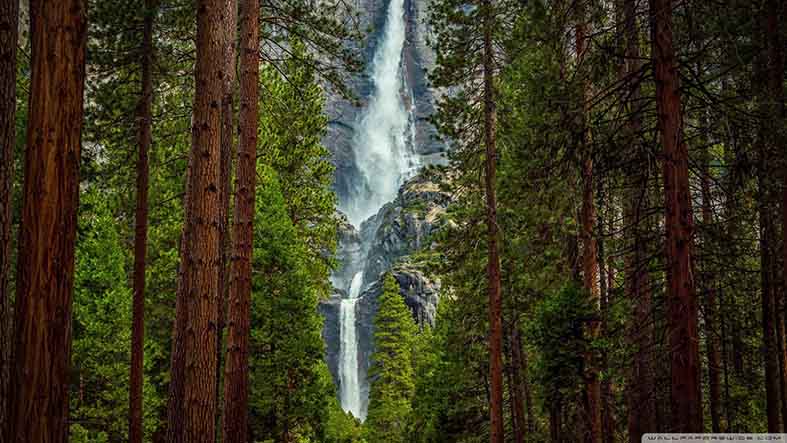 Canvas or Paper Print of waterfall No.03