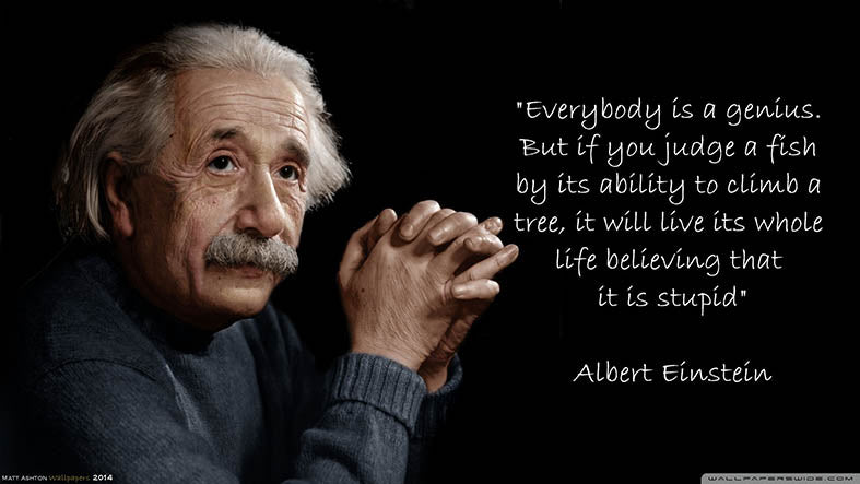 Canvas or Paper Print of Albert Einstein no.1