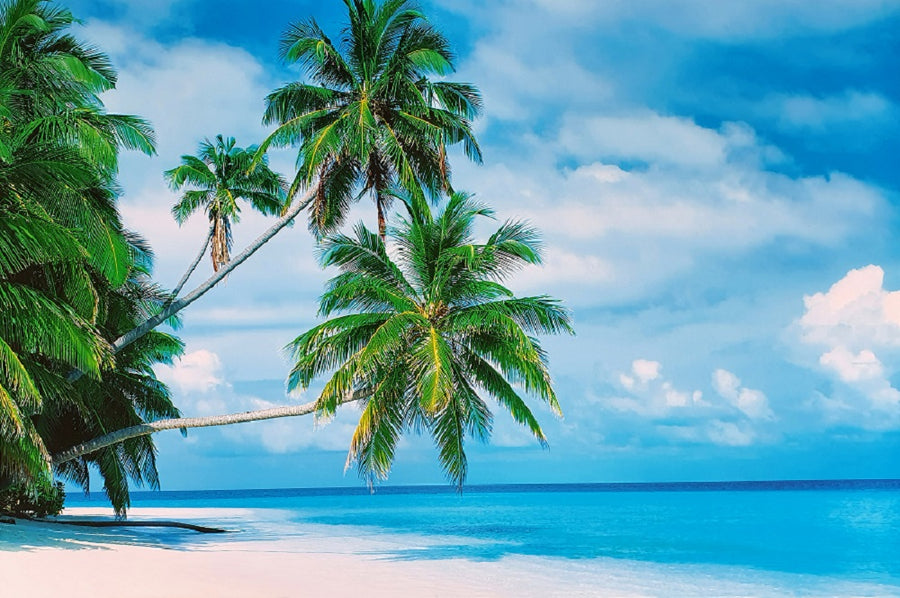 Canvas or Paper Print of Maldives no.1