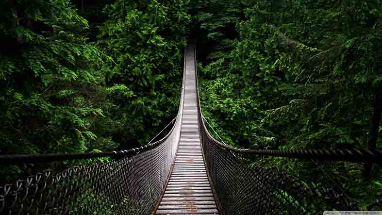 Canvas or Paper Print of Rope Bridge No.1