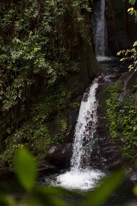 Canvas or Paper Print of waterfall No.11