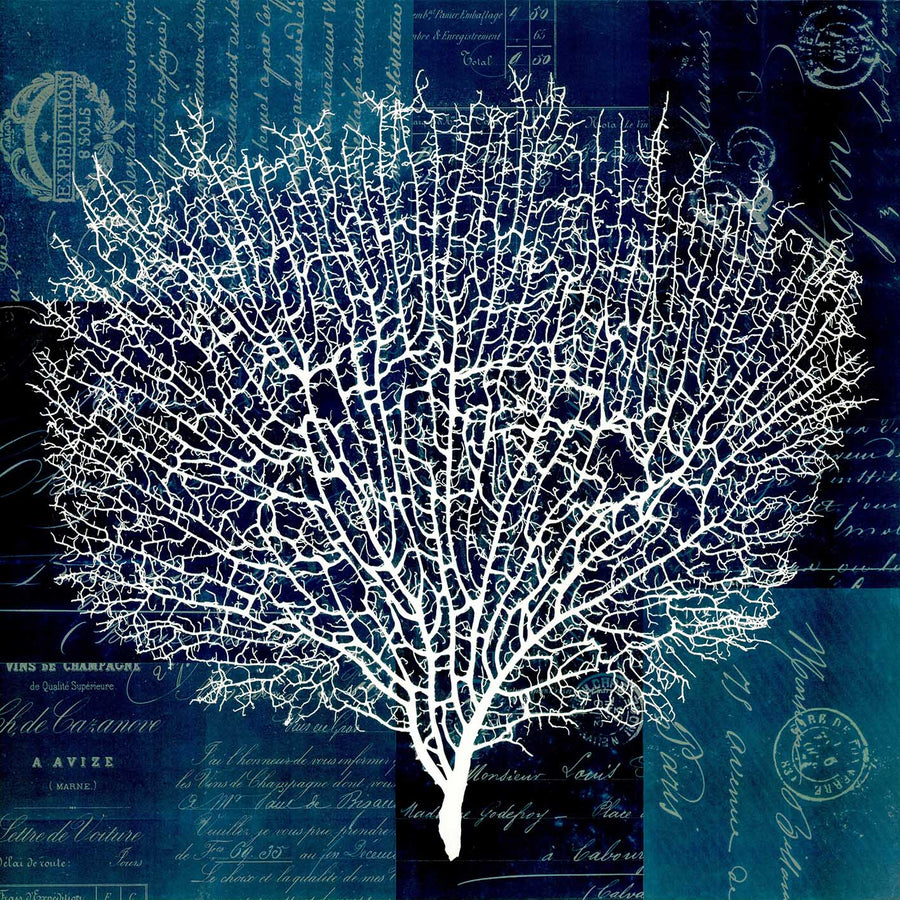 Canvas or Paper Print of Seaweed