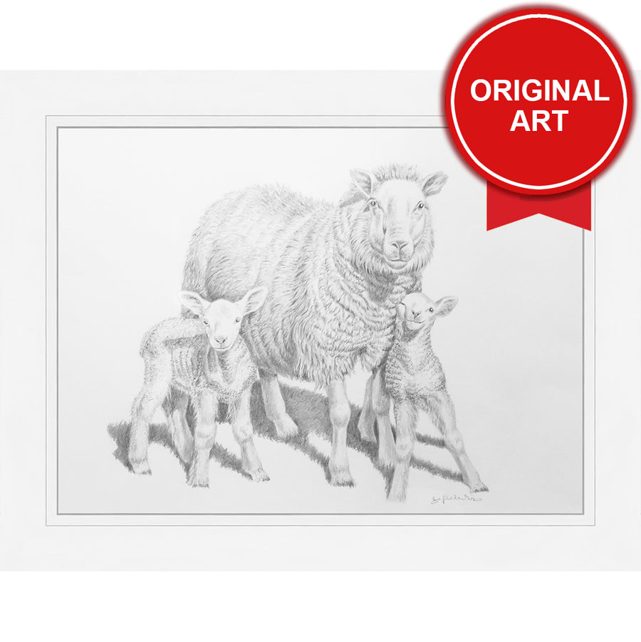 Painting by Jo Fredricks of Sheep (Original)