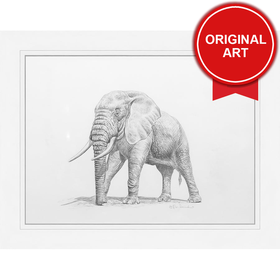 Painting by Jo Fredricks of Elephant No.1 (Original)