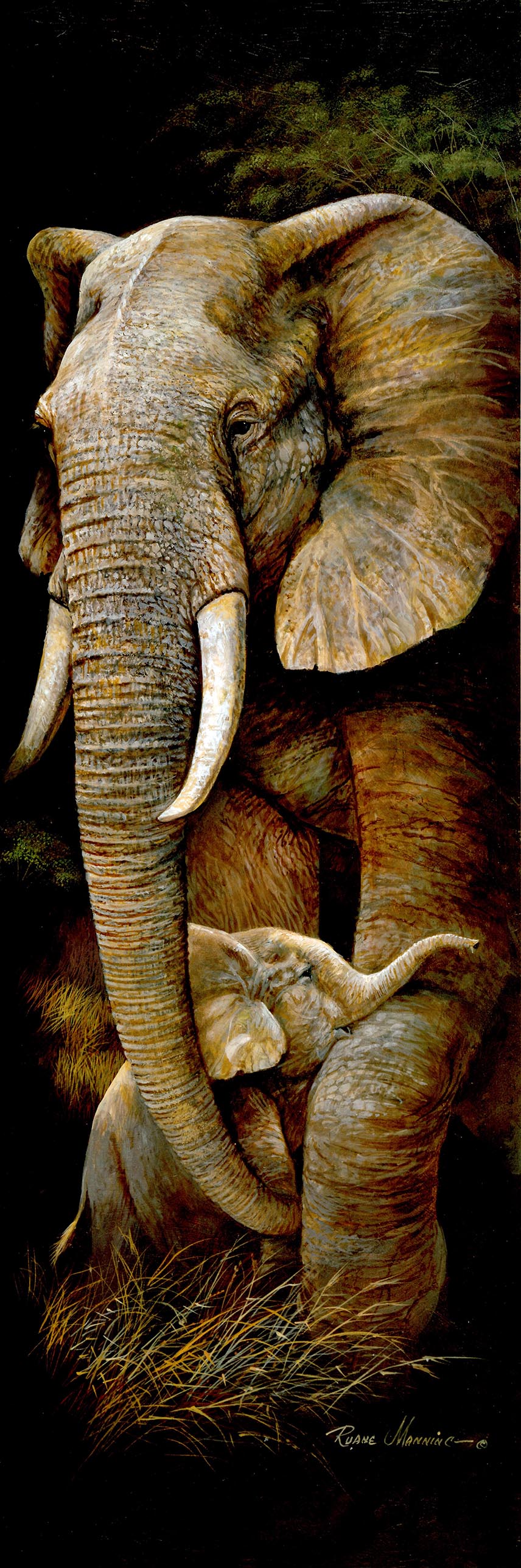 Canvas or Paper Print of Elephants No.2