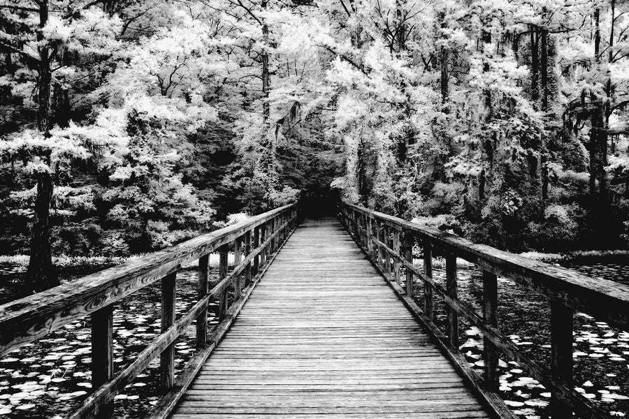 Canvas or Paper Print of Jetty No.6