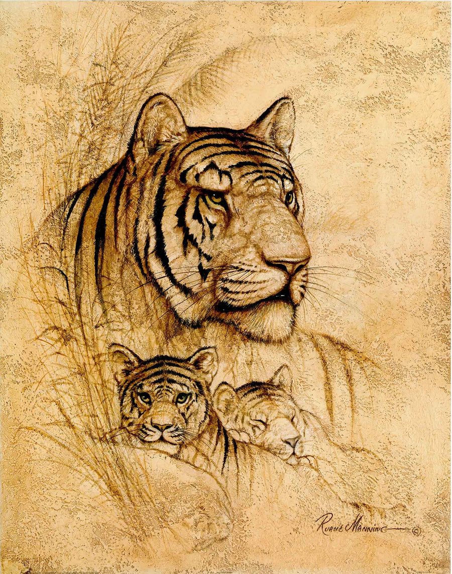 Canvas or Paper Print of Cats No.3