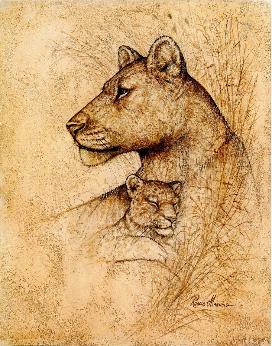 Canvas or Paper Print of Cats No.5