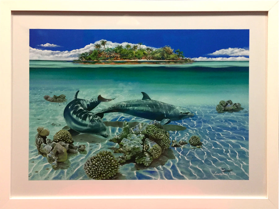 Framed Print of Dolphins