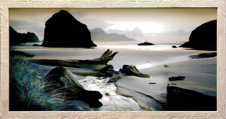 Framed Print of Drift Wood