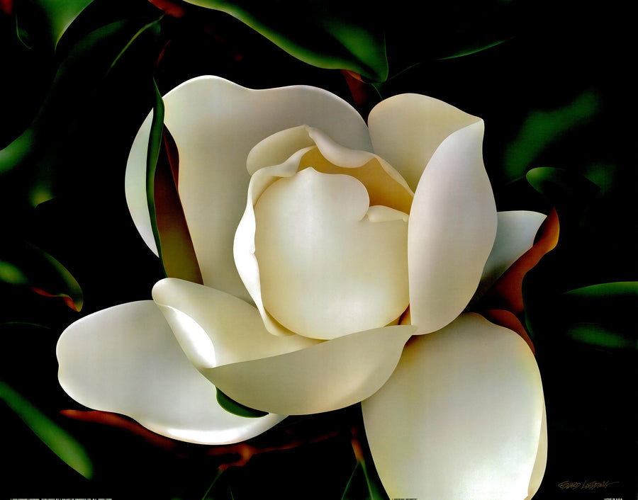 Canvas or Paper Print of Flowers No.10