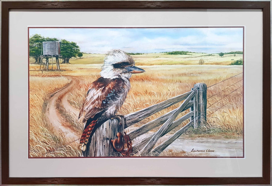 Framed Print of Kookaburra on Fence