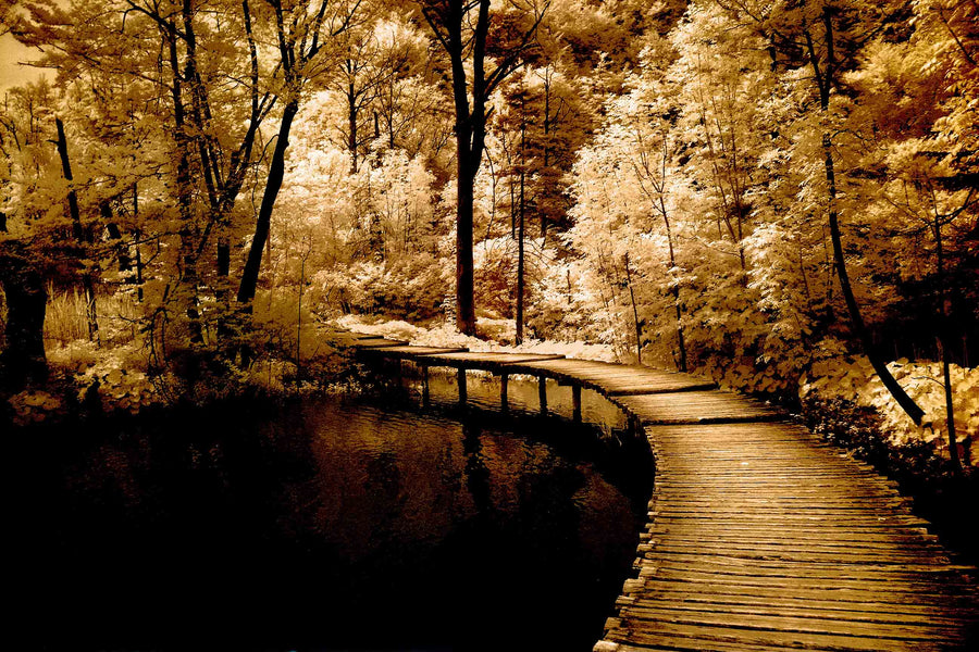 Canvas or Paper Print of Path No.1