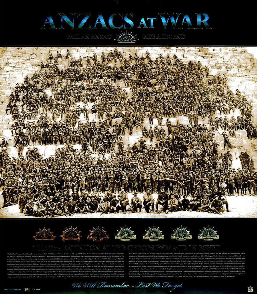 Canvas or Paper Print of Anzacs at war