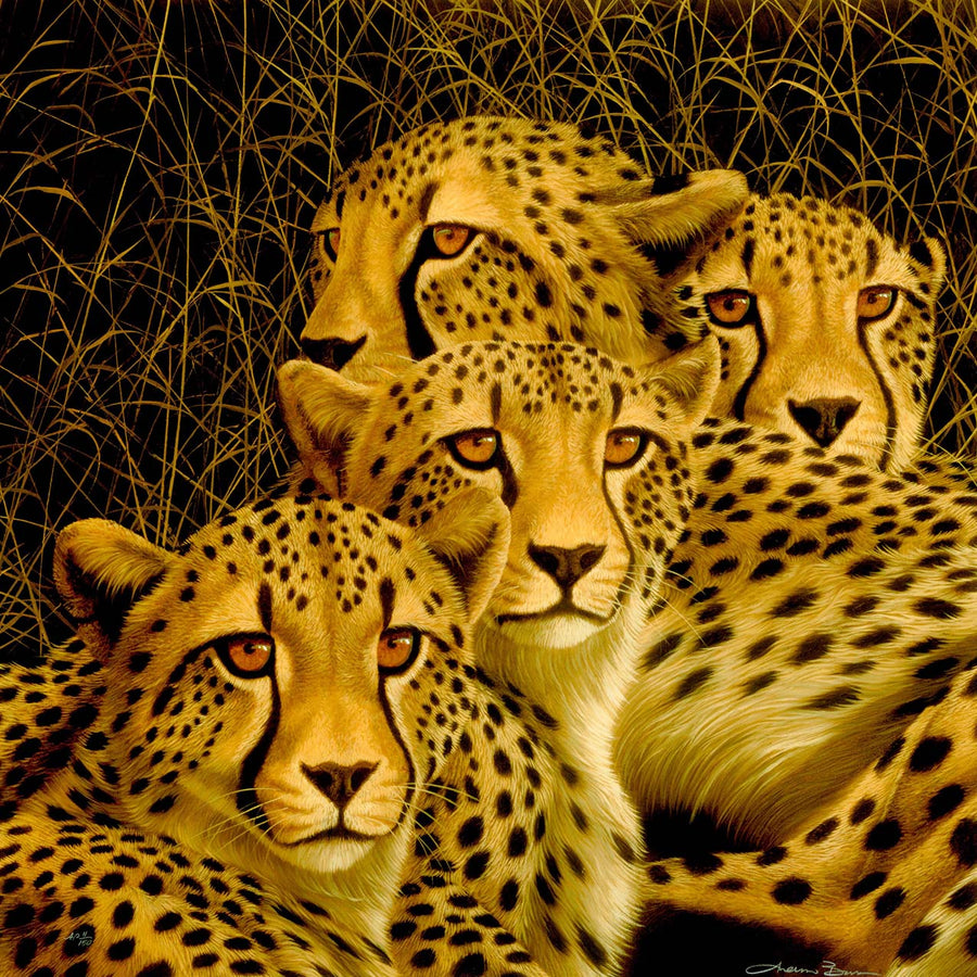 Canvas or Paper Print of Cats No.6