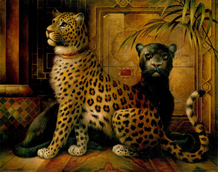 Canvas or Paper Print of Cheetah