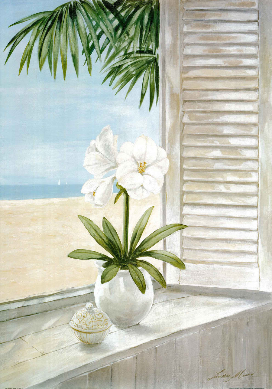 Canvas or Paper Print of Orchid Flowers by window No.1