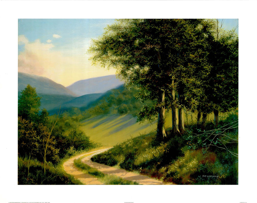 Canvas or Paper Print of Green Road No.2
