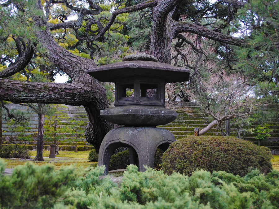 Canvas or Paper Print of Lantern No.2