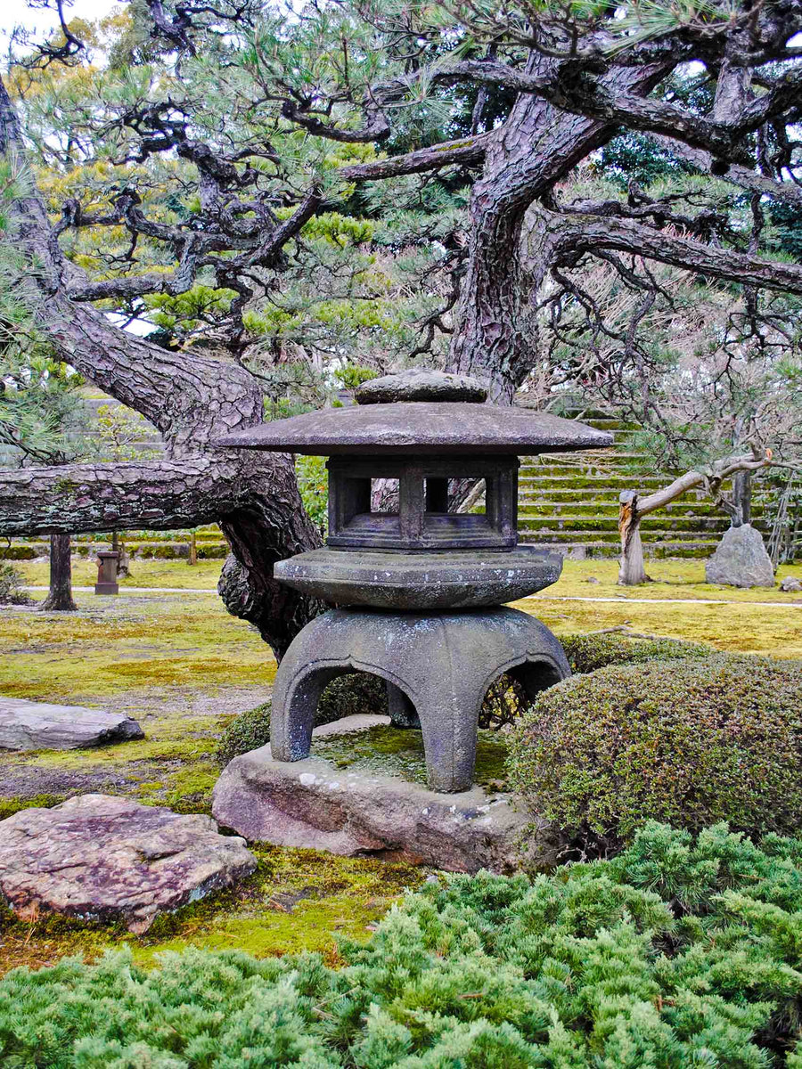 Canvas or Paper Print of Lantern No.1