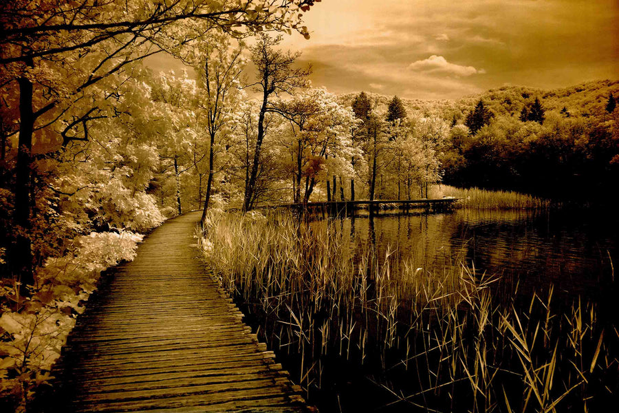 Canvas or Paper Print of Path No.2