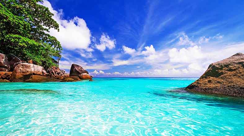 Canvas or Paper Print of Beach Day