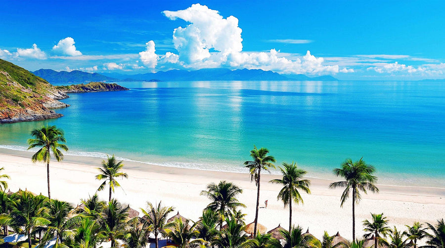 Canvas or Paper Print of Hawaiian Beach