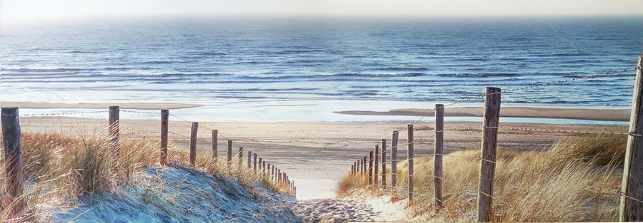 Canvas or Paper Print of Log Wire to Beach (Barb Wire to Beach without Sunrise)