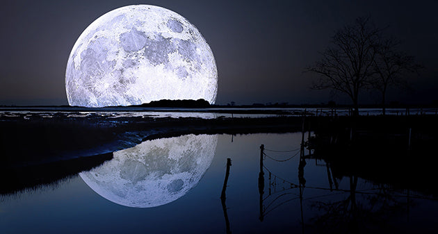 Canvas or Paper Print of Moon Over The Lack