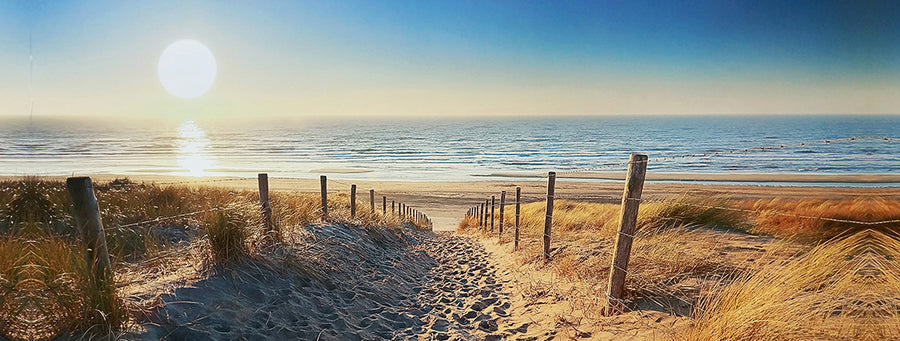 Canvas or Paper Print of Barb Wire to Beach with Sunrise no.2