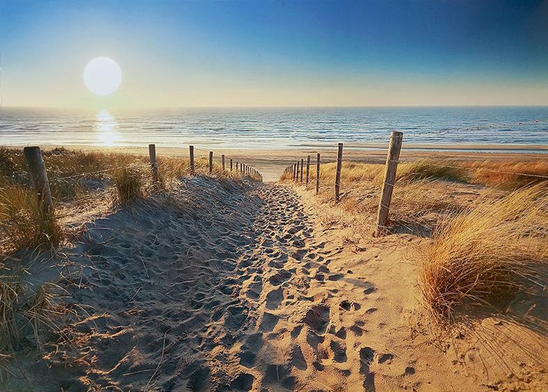 Canvas or Paper Print of Barb Wire to Beach with Sunrise no.1