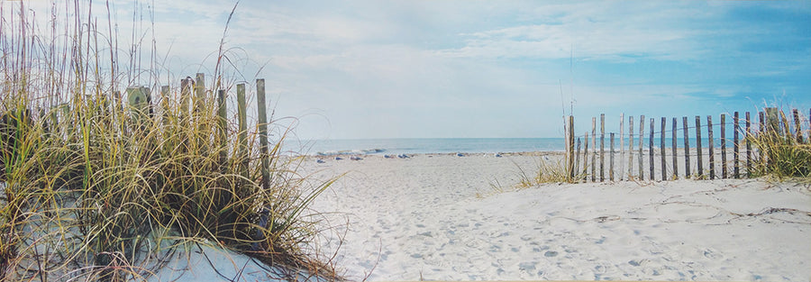 Canvas or Paper Print of Seagulls at Beach