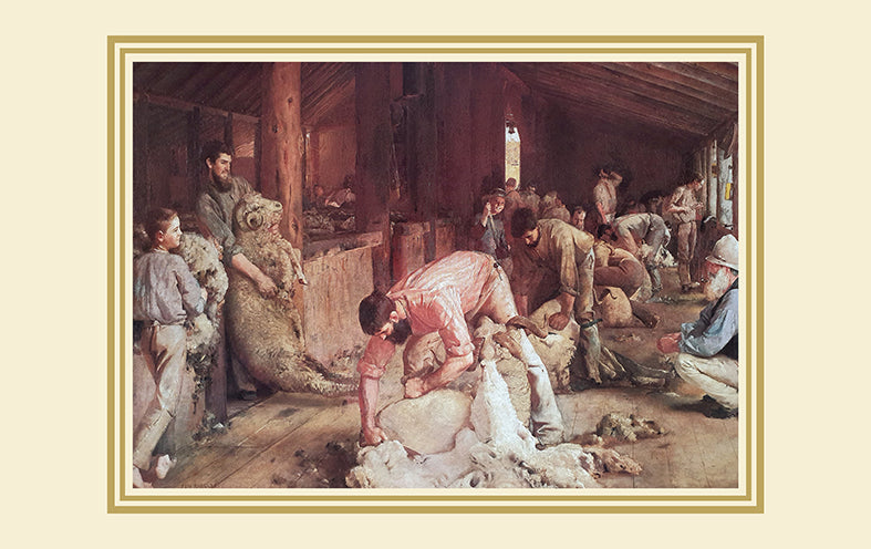 Canvas or Paper Print of Sheep Shearing No.2