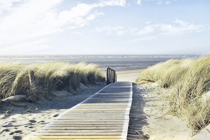 Canvas or Paper Print of Wooden Path To Beach